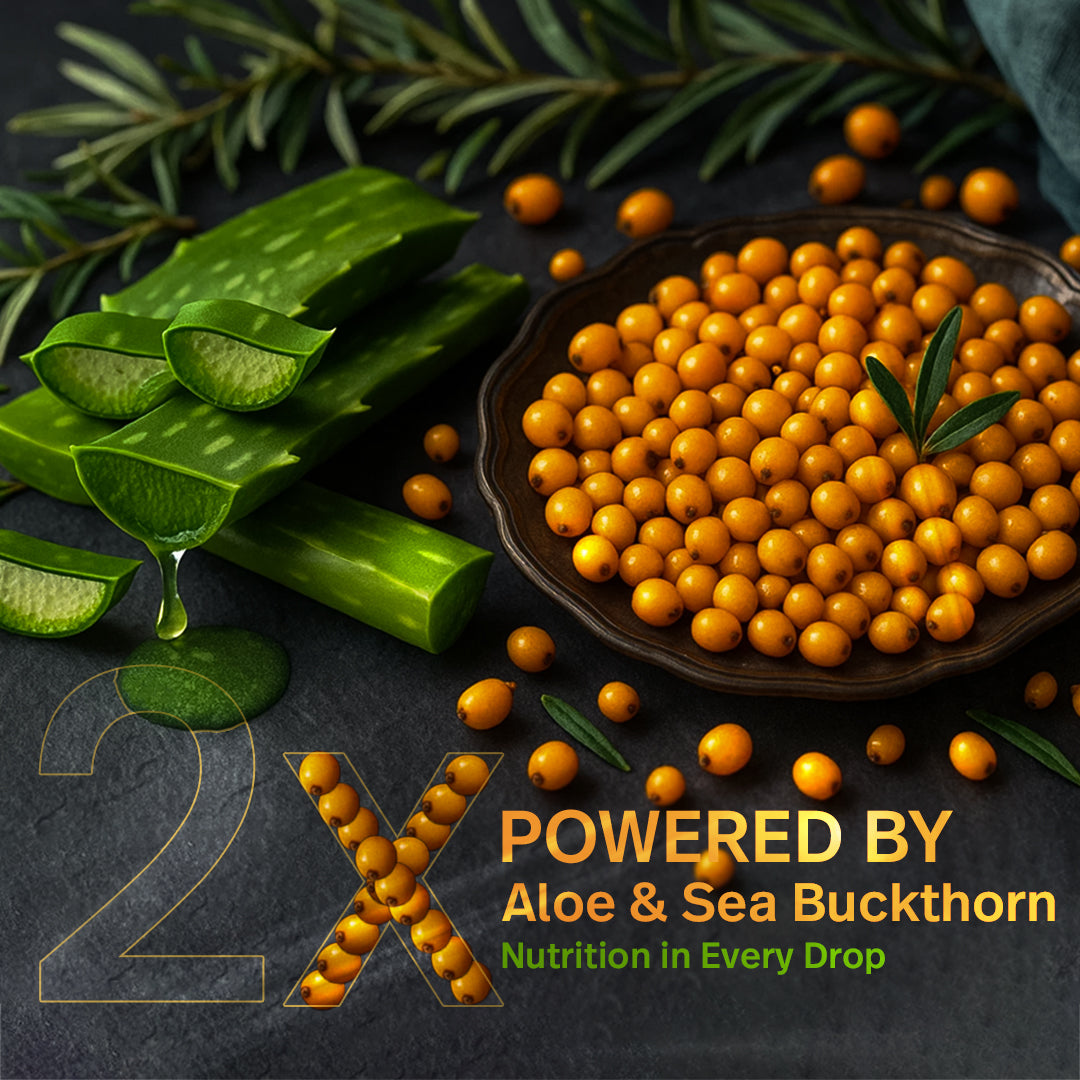 Noni gold & Sea Buckthorn Juice Healthy Combo 1000ml + 1000ml Free Total 2000ml (2000 ml)