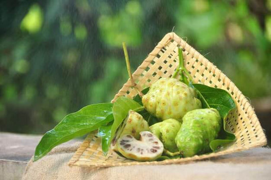 Noni Juice Concentrate (1L)