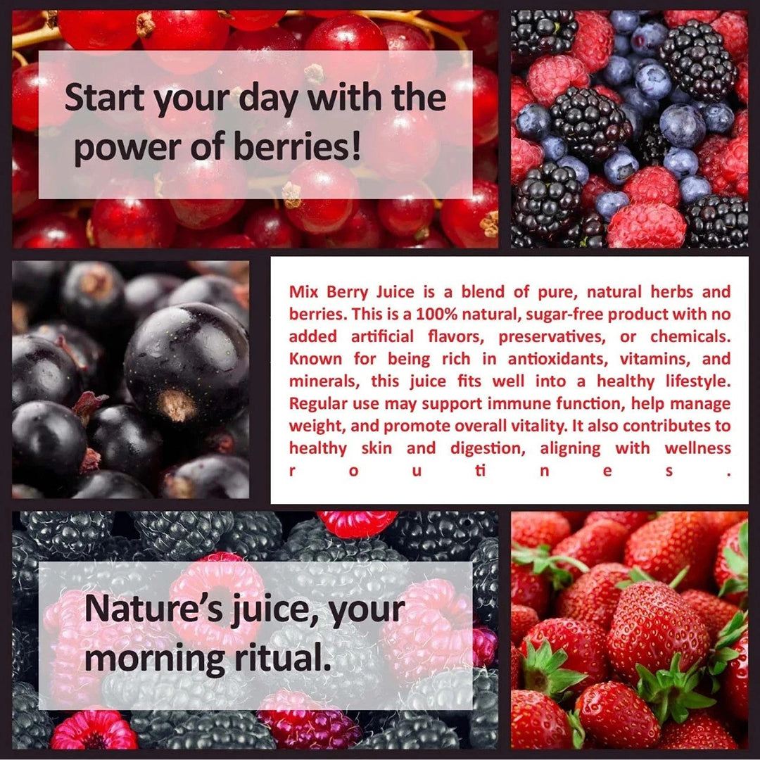 Sea Buckthorn & Mix-Berries Healthy Juice Combo Immunity Booster Pack of 2 (2 x 1000 ml)