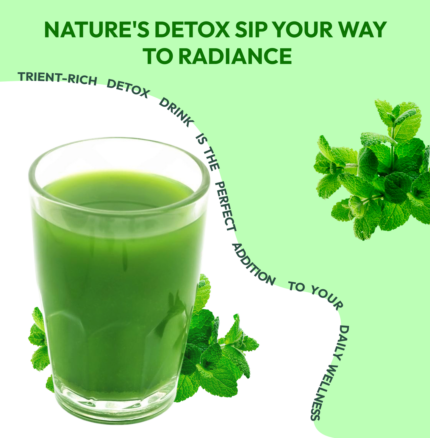 Chlorophyll Juice – Detox, Immunity & Energy Booster (Pack of 3) (2400 ml)