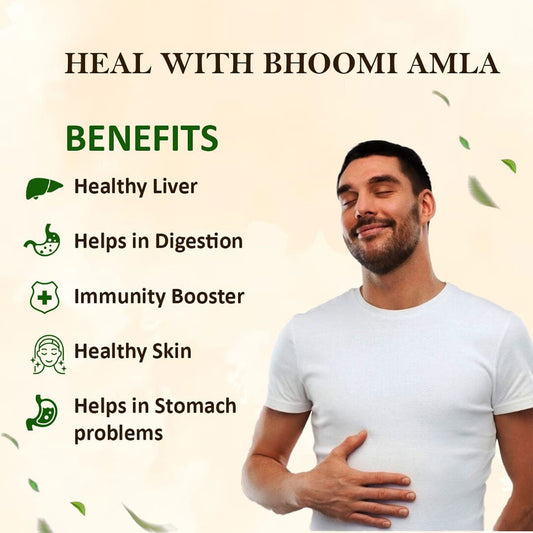 Bhumi Amla Powder 200g – Immunity Booster