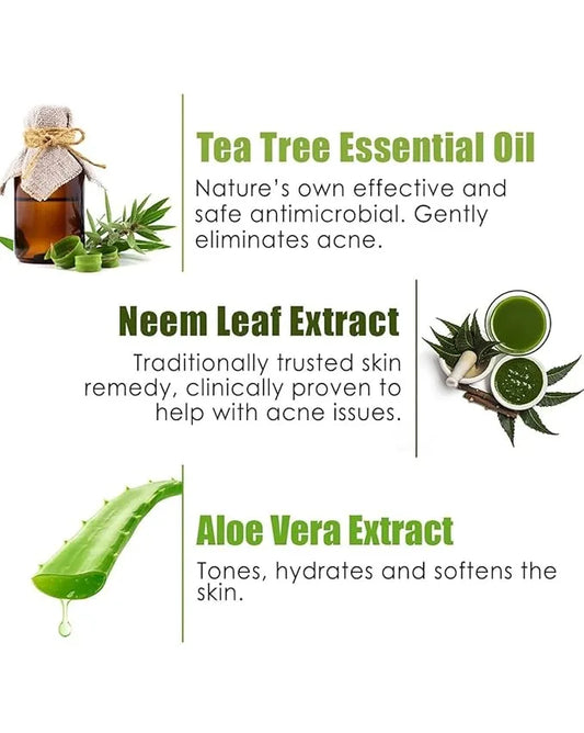 Aloe Vera & Neem Handmade Soap For All Skin Types For Men & Women (Pack of 4) All skin types