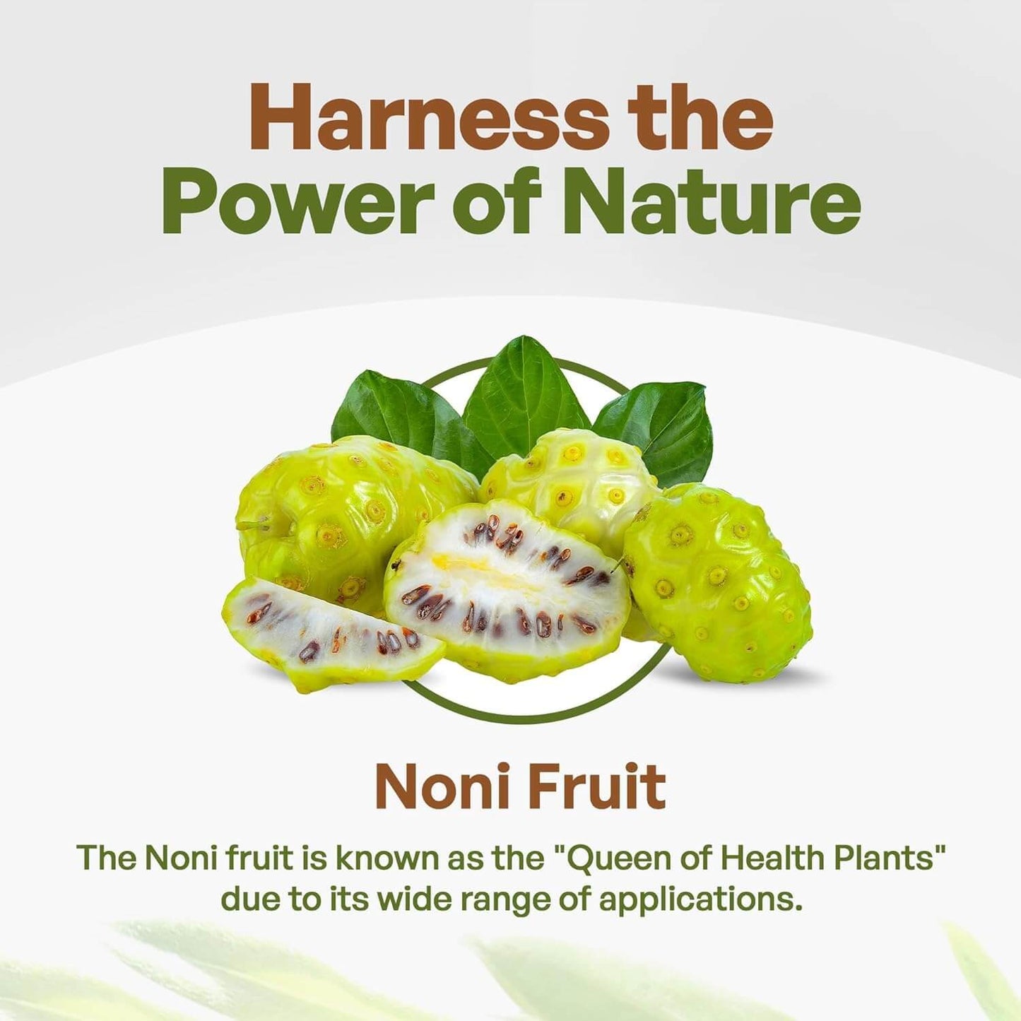 My herbal Remedies Noni Gold Juice 1000ml