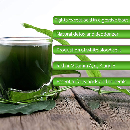 Liquid Chlorophyll Juice | 800ml