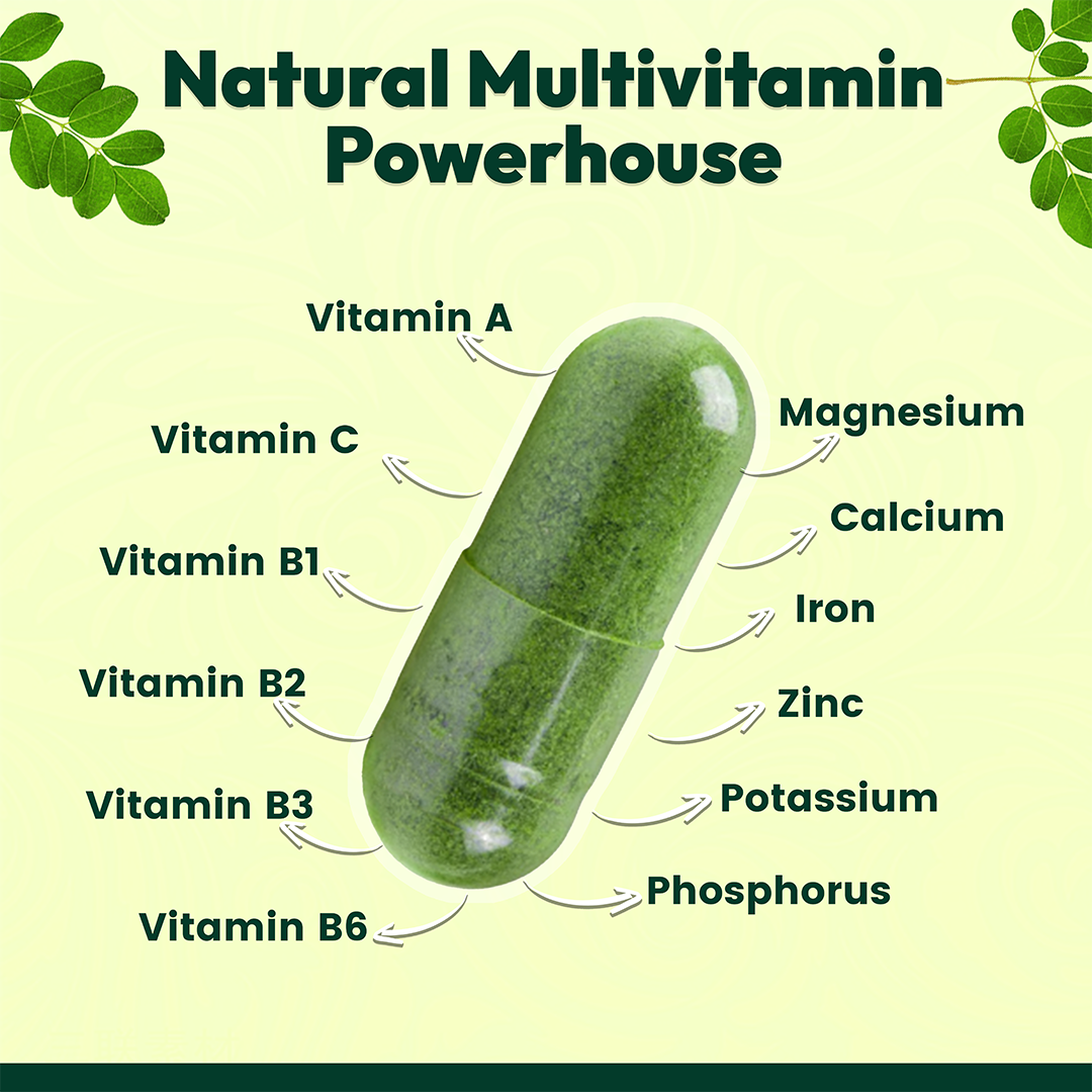Moringa Extract 500mg – Ayurvedic Immunity & Energy Booster – 90 Veg Capsules (500 mg)