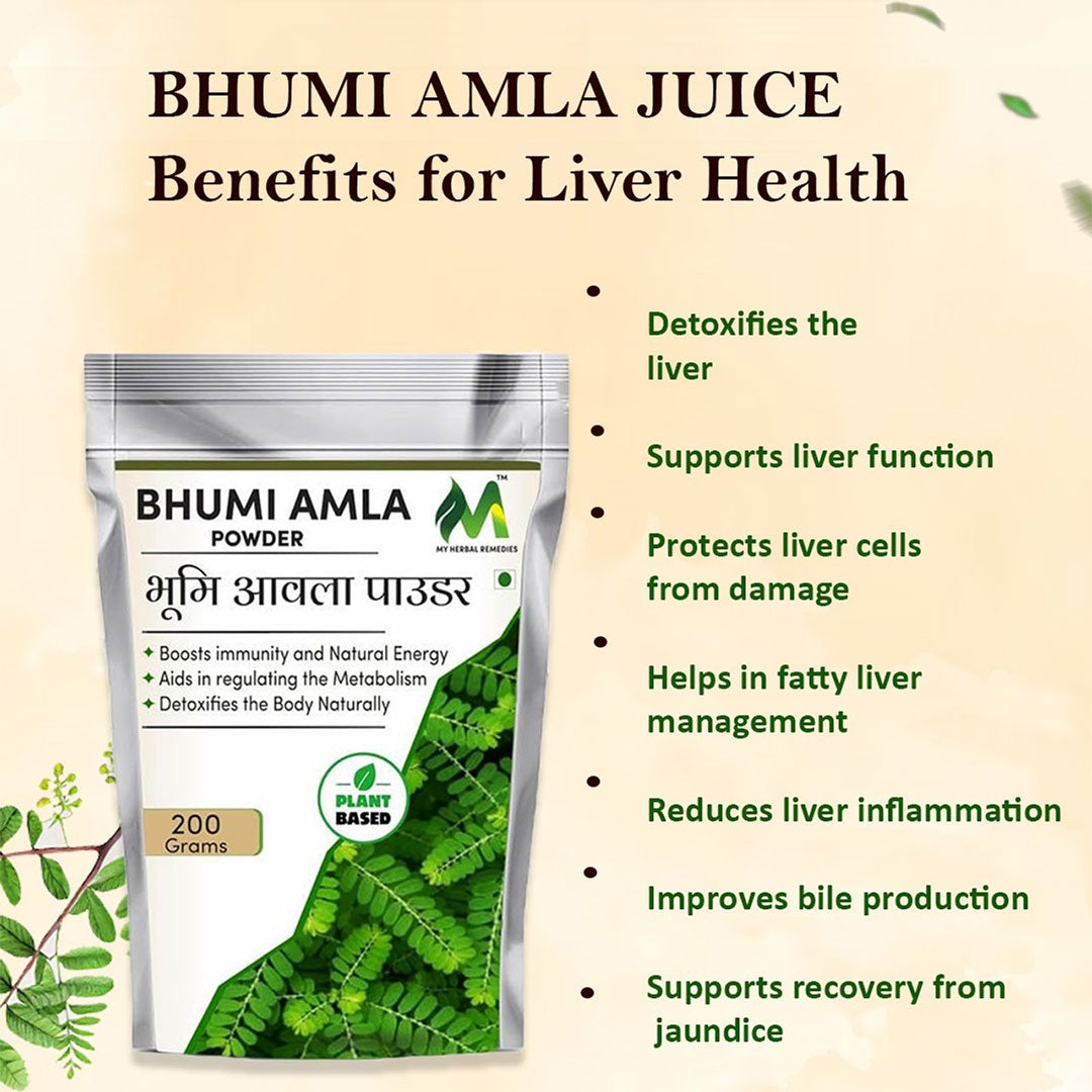 Bhumi Amla Powder 200g – Immunity Booster