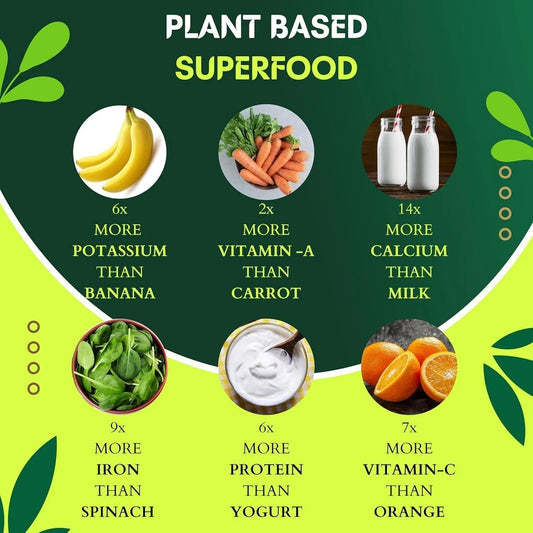 Moringa Powder 100gm Pure & Finely Ground